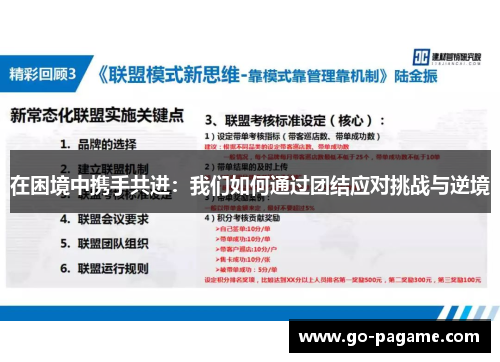 在困境中携手共进：我们如何通过团结应对挑战与逆境