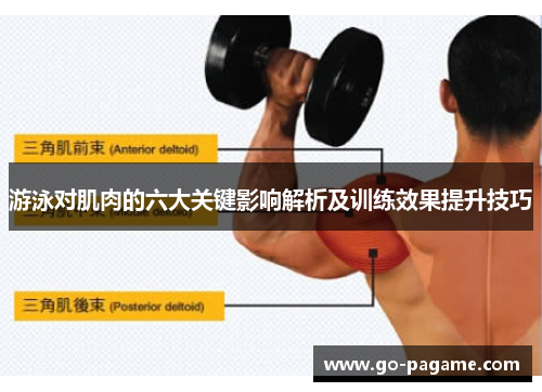游泳对肌肉的六大关键影响解析及训练效果提升技巧