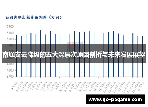 南通支云降级的五大深层次原因剖析与未来发展展望