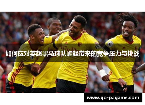 如何应对英超黑马球队崛起带来的竞争压力与挑战