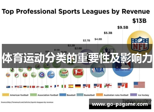体育运动分类的重要性及影响力