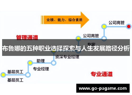 布鲁娜的五种职业选择探索与人生发展路径分析