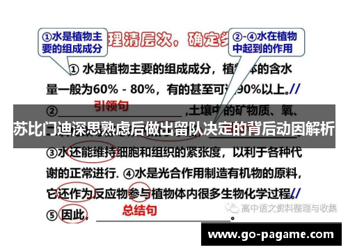 苏比门迪深思熟虑后做出留队决定的背后动因解析